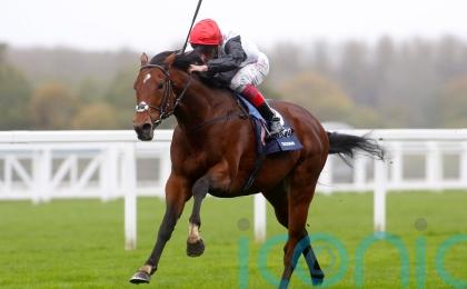 Regally-bred newcomers put Friday focus on Doncaster