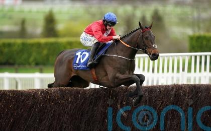 Quilixios primed for Tingle Creek and ‘pretty adaptable’ ground-wise