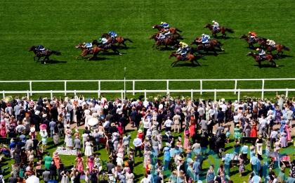 Ryan team expect Goodwood to suit Molecomb runner Ameeq