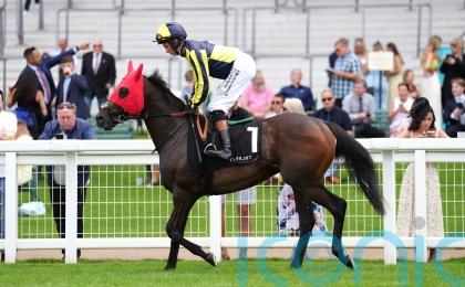 Spirit willing ally for Cox in search of Stonehenge prize