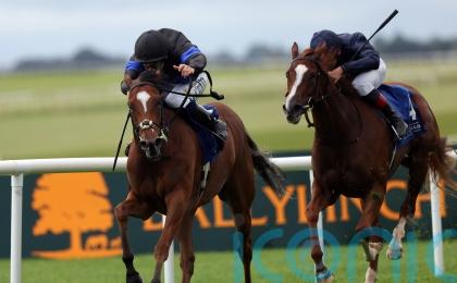 Queen Of Hawaii gets Classic quotes after Curragh performance