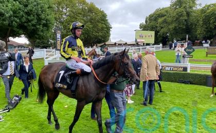 Clive Cox planning attack on big juvenile prizes with star pair