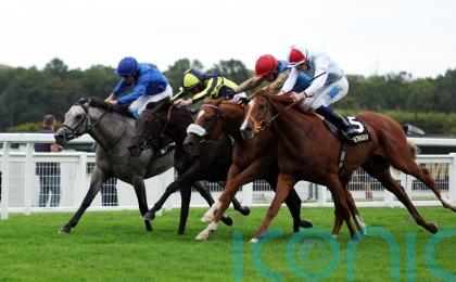 Paris on Arc day in sight for A Bit Of Spirit