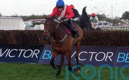 Envoi Allen set for Cheltenham Gold Cup swansong