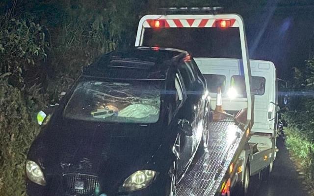 Gardaí share horror crash pictures after learner driver found five times over limit