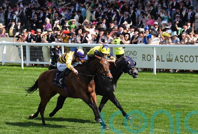 American Affair takes ‘magical’ King Charles sprint glory for Scotland