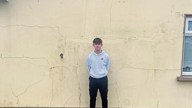 'It has torn our lives apart, brick by brick&rsquo; - Limerick family's pyrite plight