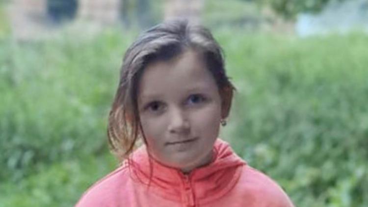 Report finds 'no evidence of wrongdoing' by Limerick gardai investigating fatal road traffic collision