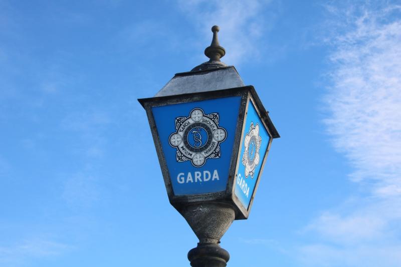 Gardaí issue witness appeal following fatal hit-and-run that saw a man (20s) killed