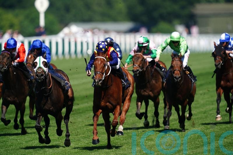 Acklam Express booked for Goodwood after huge Ascot run