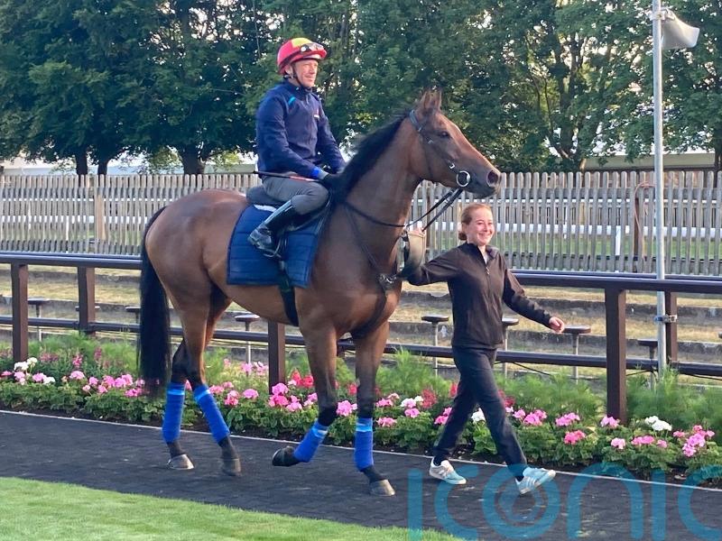 Dettori to ride Emily Upjohn in Irish Oaks