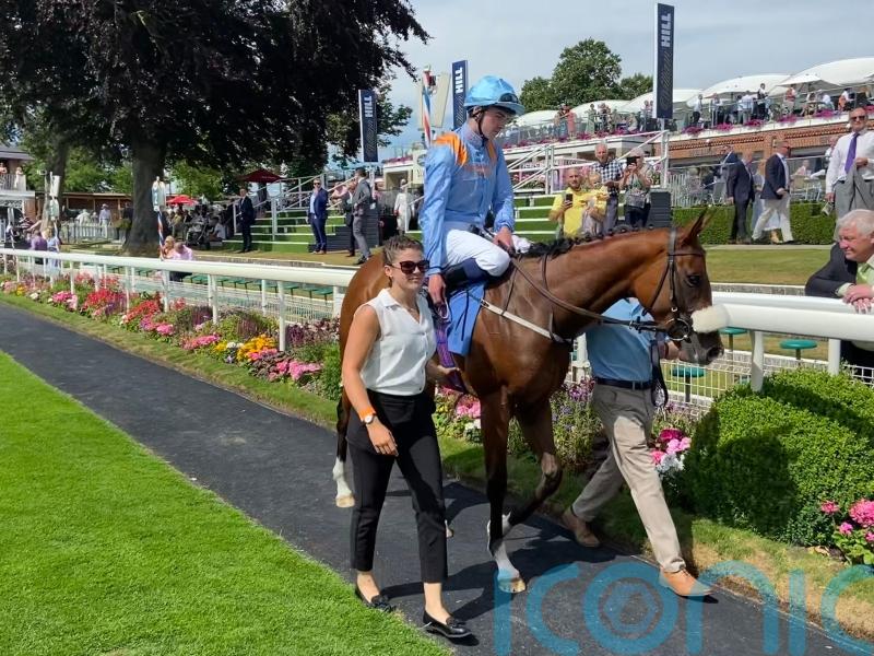 The Platinum Queen lights up York with dazzling display
