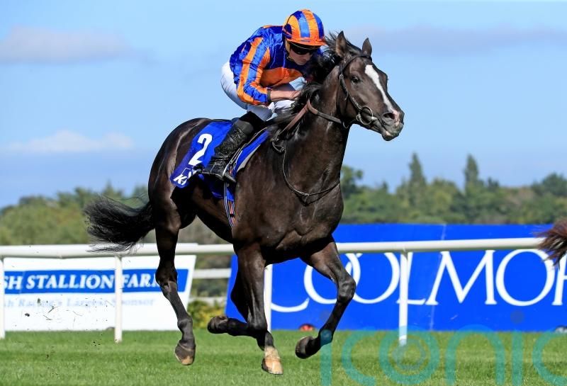 O’Brien admits going concerns ahead of Rodin’s Trophy test