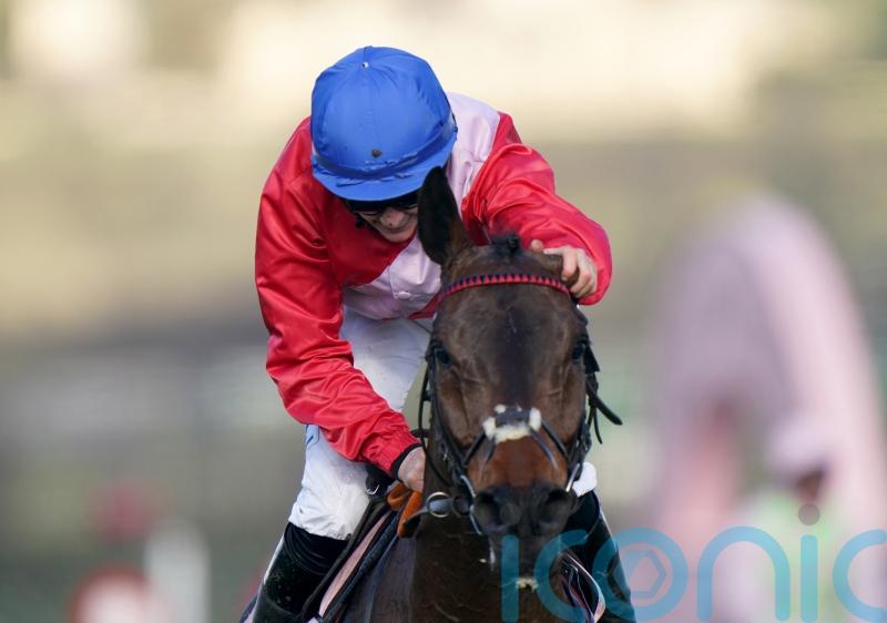 No reason so far for A Plus Tard disappointment – De Bromhead