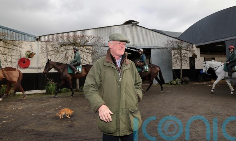 Facile Vega backed to make amends for Leopardstown defeat