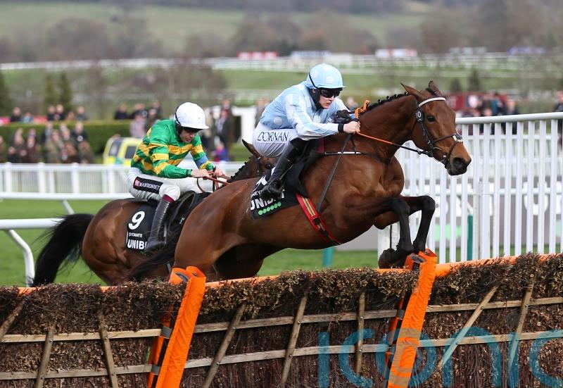 Honeysuckle team happy to have Cheltenham finale