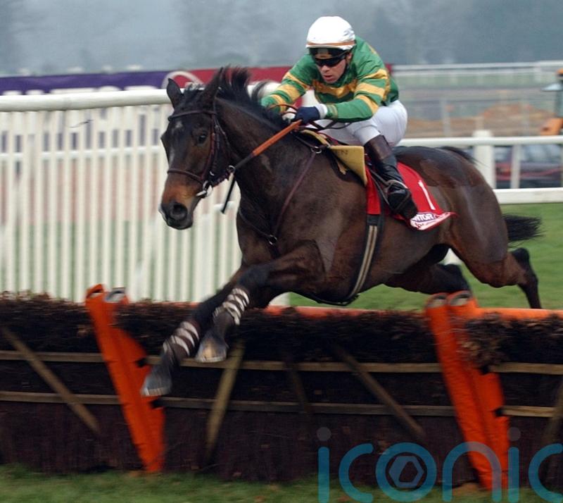 ‘Superstar’ hurdler Baracouda has died at the age of 28