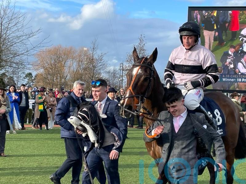 Premier just Magic for Bradley Gibbs