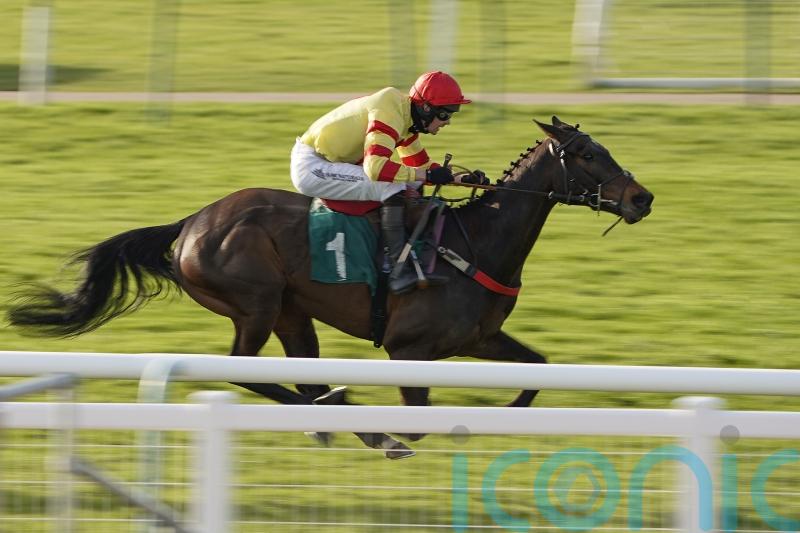 Black Poppy blossoms for Kerry Lee in Swinton Hurdle