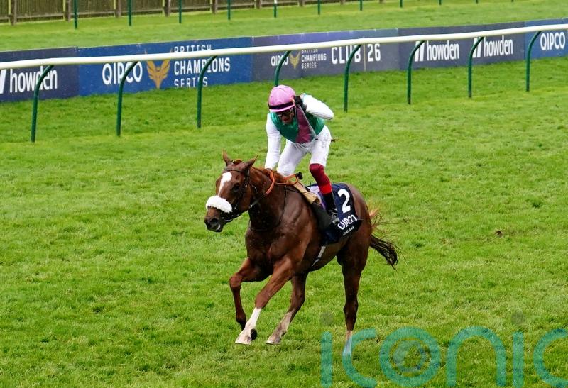 Quick ground no concern for Balding ahead of Chaldean’s Ascot run