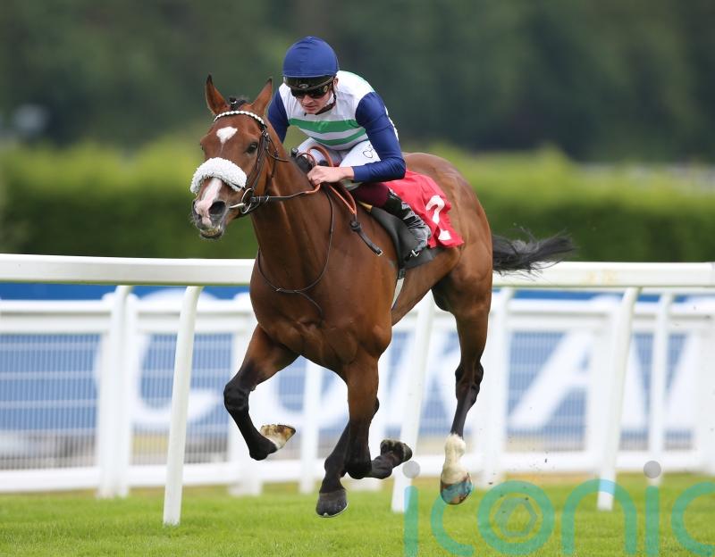 Coltrane remains on course for Gold Cup challenge