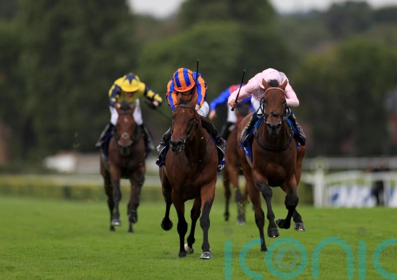 Paddington all set to produce once again in Sussex Stakes