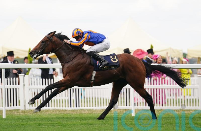 Jumps legend Maguire rates Paddington as ‘best I’ve ever ridden’