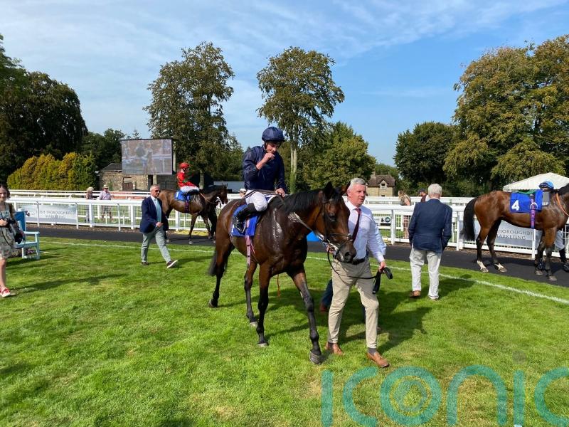 Cambridge puts O’Brien on the mark with rare Salisbury runner