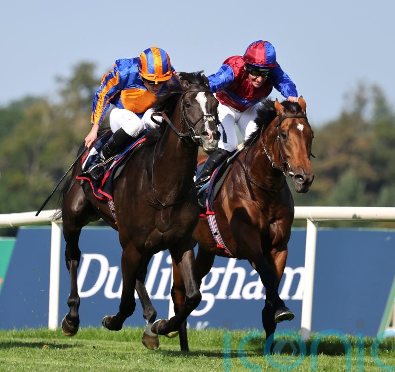 Breeders’ Cup bid set to beckon for Auguste Rodin