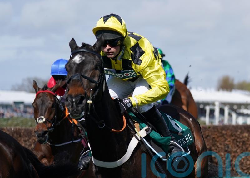 All systems go for Shishkin and Newbury this weekend