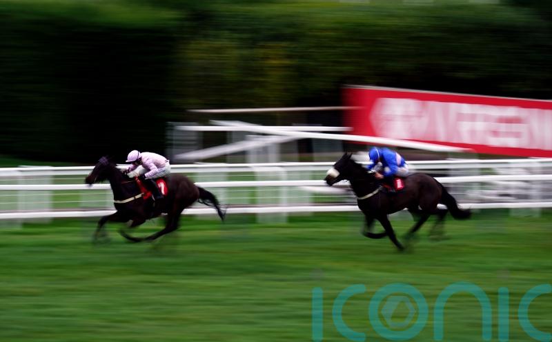 Sandown victor Sixmilebridge enters Pauling&rsquo;s Festival equations