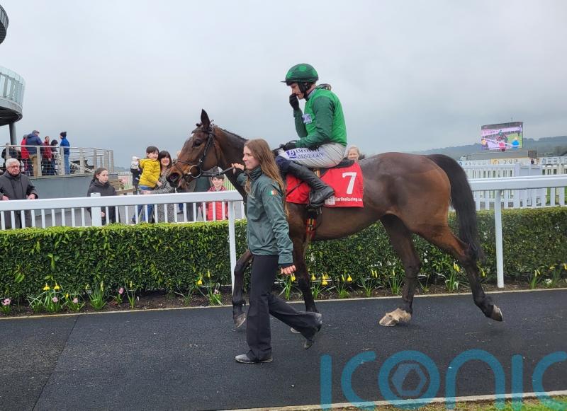 Mullins and Townend heading to Cheltenham on back of Naas treble