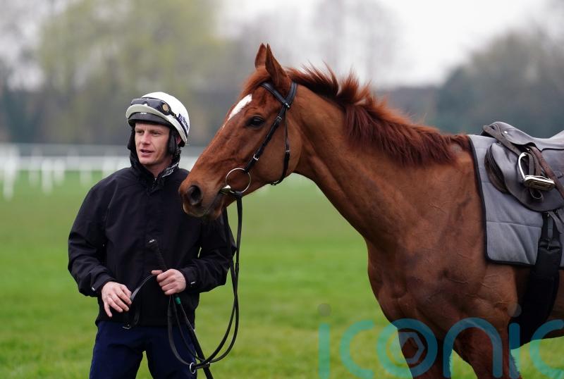State Man ‘doing everything right’ ahead of Champion Hurdle
