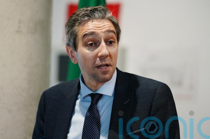 &lsquo;You ain&rsquo;t seen nothing yet&rsquo; &ndash; Simon Harris hits back over party criticism