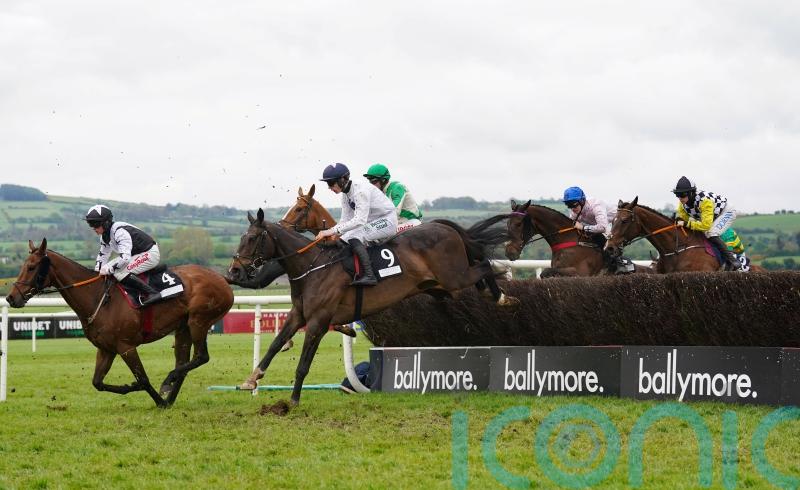 Minella Crooner hits winning note at Punchestown