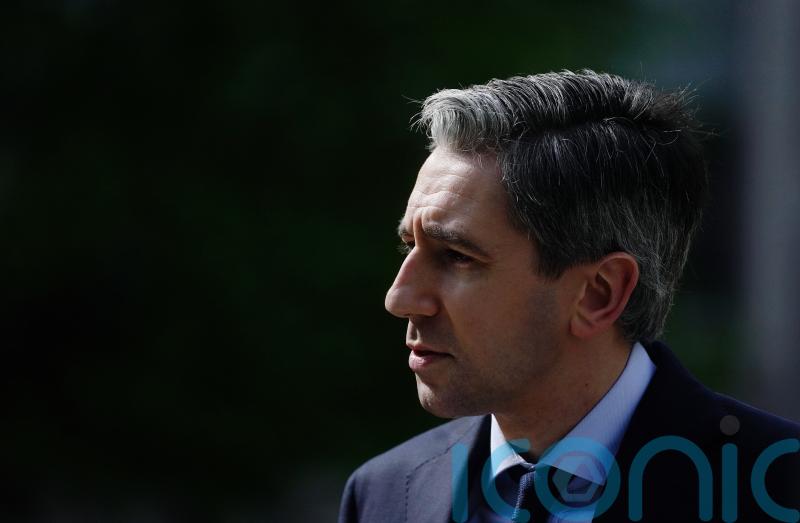 Harris focusing on ‘effective deportations’ and increased workplace inspections