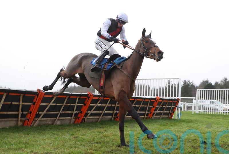 Padded hurdles to be introduced at all Jockey Club-owned jumps tracks