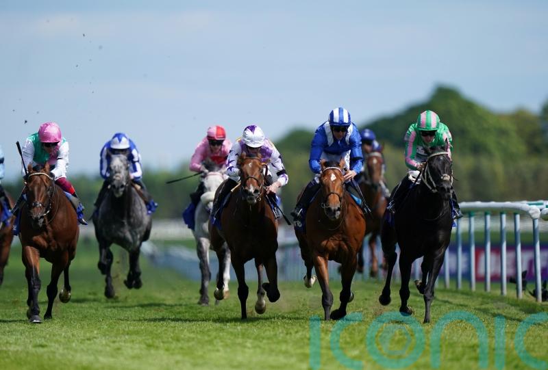 Pogo primed to go close in Haydock repeat bid