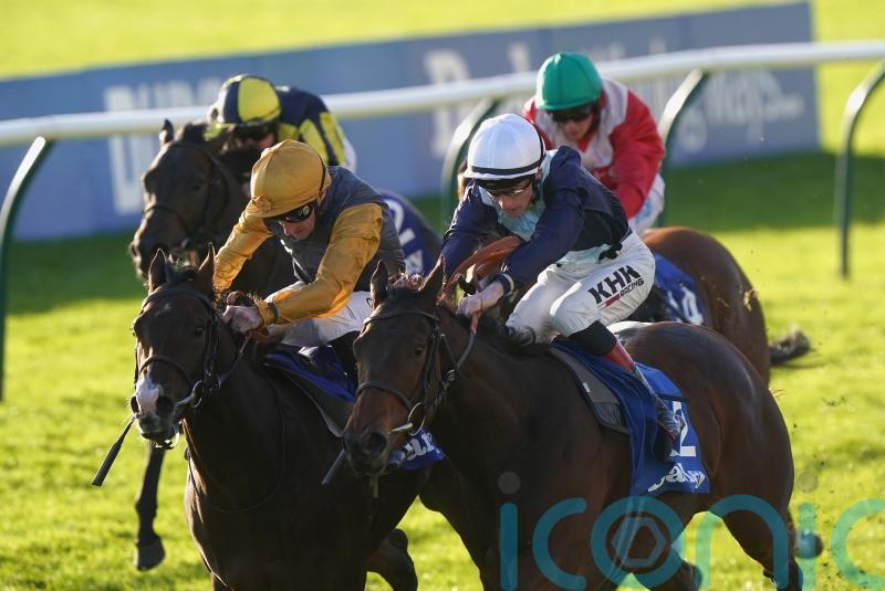 Fair Angellica has Goodwood’s Oak Tree Stakes on her agenda