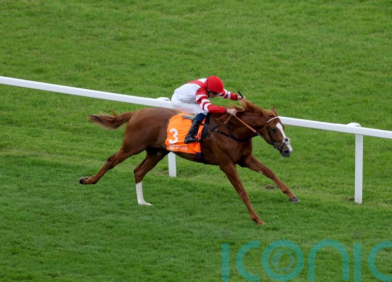 King’s Gambit in line for possible York return following narrow reverse