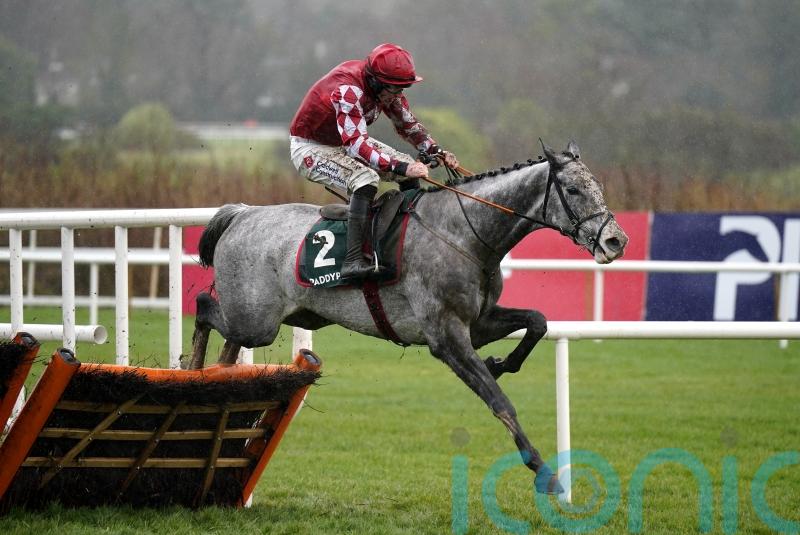 Caldwell Potter has ‘ideal chance’ for Cheltenham experience