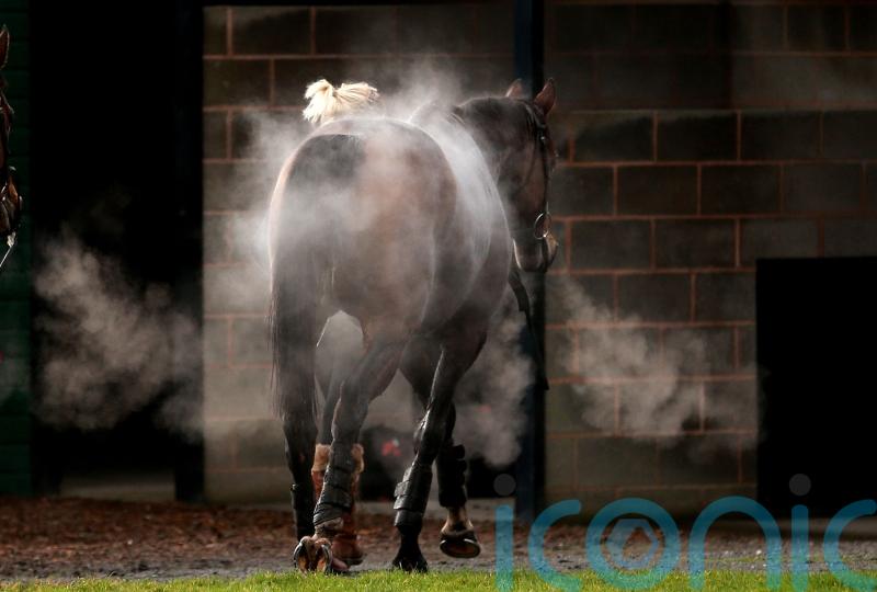 No rest for racing folk at Christmas, but festive spirit still prevails