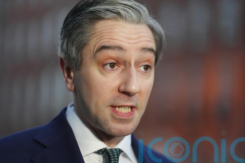 Sinn Fein politicians urge Harris to answer questions in Dail over Martin Conway