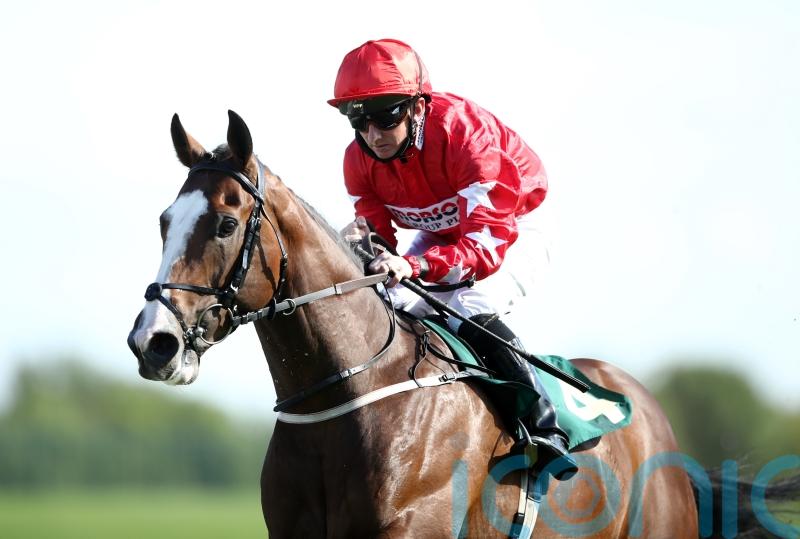 Spirit Dancer heading home after Riyadh run