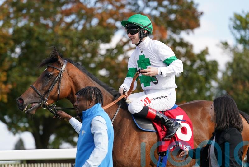 Newbury or Paris next on the agenda for Tamfana