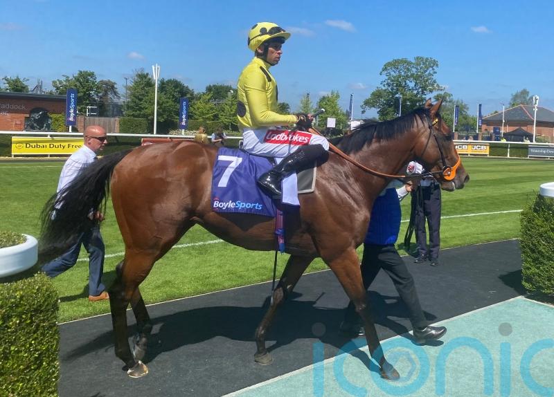 Hannon relishing Royal Ascot rematch with Lockinge third Rosallion