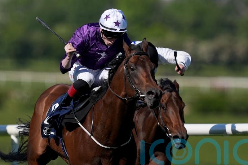 Bucanero Fuerte shows he still has the power