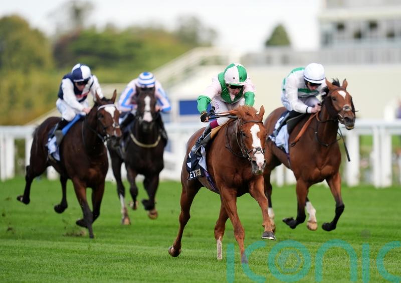 Allonsy takes Listed honours in Pontefract feature