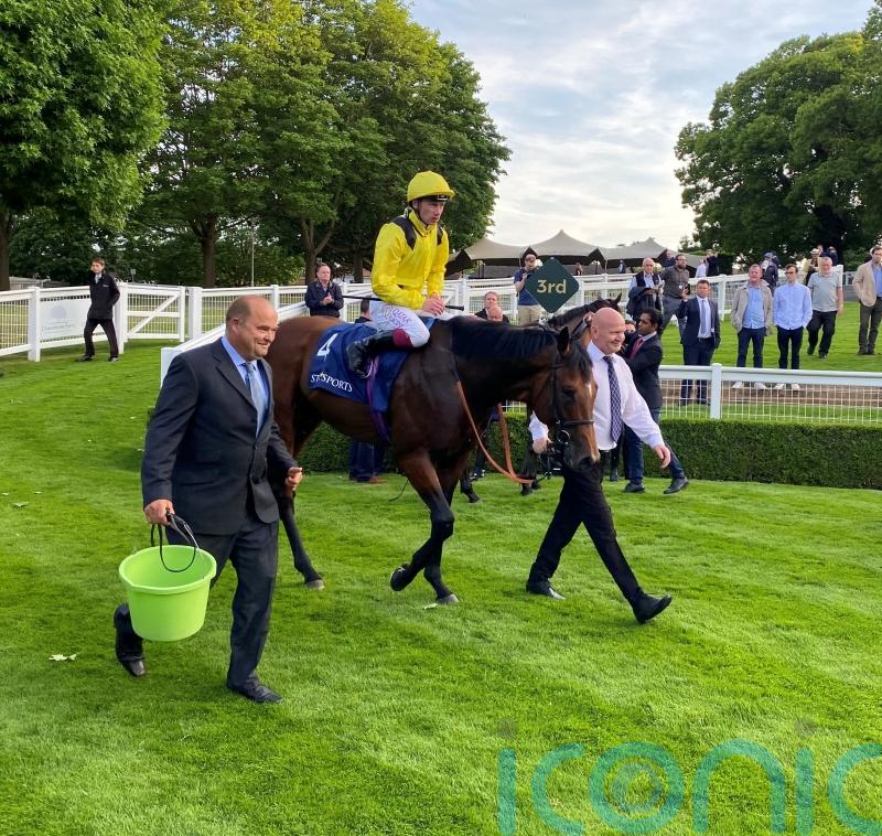 ‘Different gear’ Almaqam primed for York return