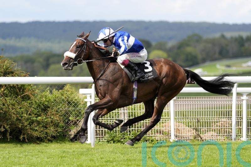 Goodwood victor Fox Legacy set Strensall task